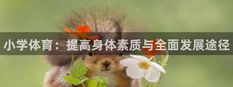 米兰体育官网下载平台是正规平台吗安全吗:小学体育:提高身体素