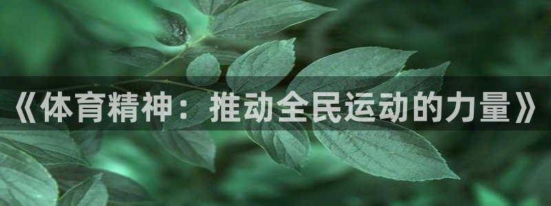 米兰体育官网下载软件:《体育精神:推动全民运动的力量》